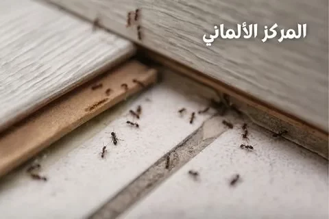 المركز الألماني لمكافحة الحشرات